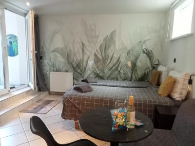 studio with a terrace side bed Zandvoort